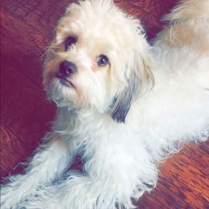 Meet your Posher, Daniela